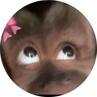Monito 3