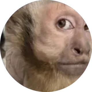 Monito 6