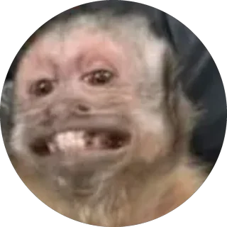 Monito 7