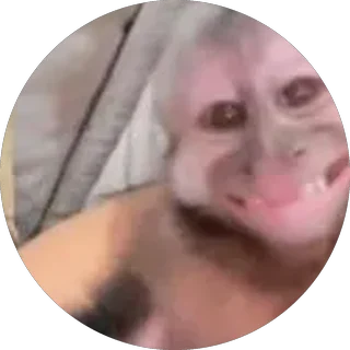 Monito 9